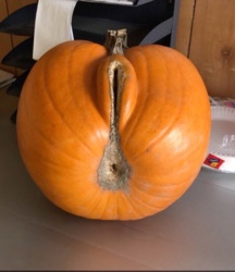 20392a1e-5470-4349-b86d-5ba718ce18bb