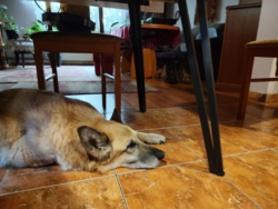 5efa5e92-406e-46d9-a9cd-7c895daed7f2