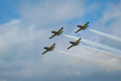 d45aaa2d-2c06-49b1-a820-ea396ea46b82