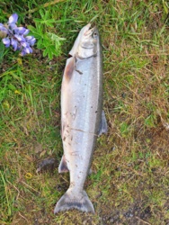 3938a221-98a0-4bbf-835f-dd926c39f658