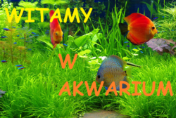 5dd5a490-977b-400b-8bcc-070efbe055c0