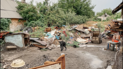 c322e0e1-27b6-472f-ae42-93fd9c557846