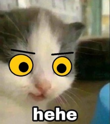 5ffd3db7-2746-4ed6-90b6-dc63fa17a637