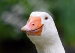 50ef17a6-a902-4348-a505-998015af6b0d