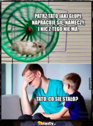 0eaccf89-ce54-49cd-a5a7-a390d00d872e