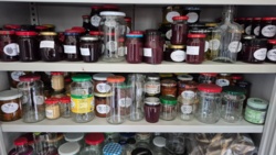 1edeea40-3a30-4d68-870f-d40aa6d3fa0c