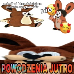 68c5ea56-f5b1-4bc7-a218-60d0306f6bf9