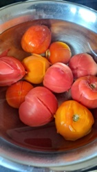 7b197c52-0bff-4eb1-b255-46228a9ba1b2