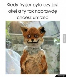 9123f08b-b533-4f74-906d-ae611dd2d182