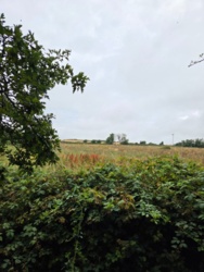 63892ab4-04da-4320-8b11-e9485e285561