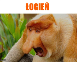 39978c13-bc2e-411b-8962-1539c8c22402