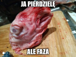 5f2f4f7b-a823-4085-9ab1-c657a6d26a5a