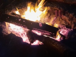 2cc285b0-c0d6-4581-a3c2-50925ffdcc71