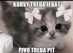 97ed6d93-ec28-45cd-b5cd-d1afb9d555be