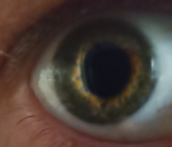 d2edfacc-661e-4a41-bbe2-01daf6343640