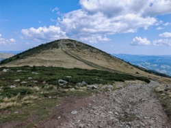 50177ea9-8fd1-40fd-98c9-756900e849c5