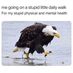 00189163-d525-4507-85ce-a8667499de4a