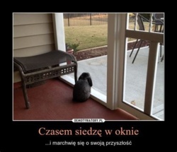 e2861fa0-ec1e-4bf2-87b7-51a4a3c39805