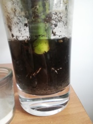 d1fedc12-564d-4898-b51c-a8e336f8462e