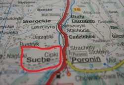 0d309f3a-517f-422f-8045-a3a229301234