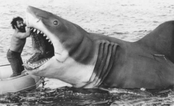 5cce3904-344d-4376-8043-45c56efaaaba