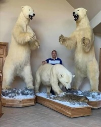 c746192f-810e-463c-85e9-f8975c65c505