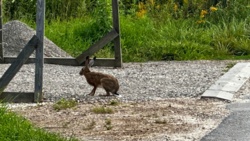 b39e3f0c-79d5-44e1-b825-256c810c4ecc