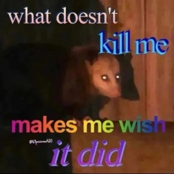 07f1a05a-7ee4-4f03-b5a1-b5eea485ceaf