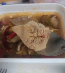 72ee3dc6-557e-4f13-8837-ab2407fb3a05