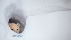 60484d76-902e-4682-812e-1df4d8c7c776