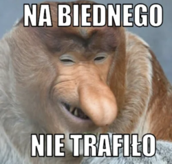 264d709d-cab1-480c-9387-71df8abd2461