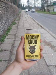 36e75e51-f42b-4d68-9d0b-a3962e24e6ab