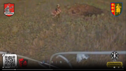 1261b520-1af2-4acd-95c1-2848981fc63f