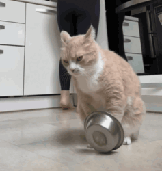 3e48ab07-de55-41bf-8283-020acdea9d5f