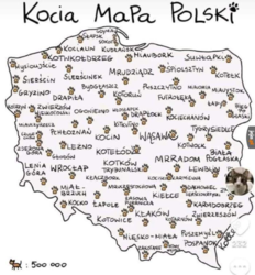 ff5b7107-27ea-4d74-af65-a1443f626be9