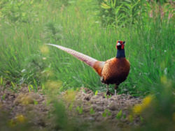 d75a4ea3-668f-466b-a311-9ed49081d9e4