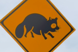 aa71c56d-8fd9-4bab-8c5f-9d45a4e59022