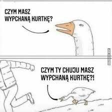 d51fc669-528e-43a8-94d5-159eac250aae