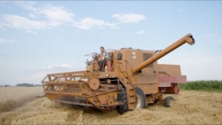 97949164-c856-4bab-80ca-63bb5dd01763