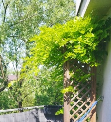 ee78a2b3-0dd6-4d92-a878-e30ee9e74123