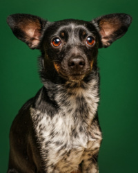 5f3e90d6-e95f-441c-897a-d4e7405f4b6a