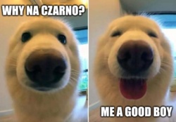 683e51e8-a87e-4506-92df-2d15a5128f45