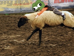 4d8c24b3-6c50-4576-bd44-4906e3418cac