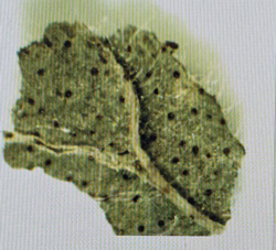 75e30703-fa07-41ef-b426-cd6bc379920e