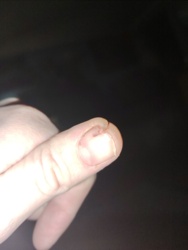 e51b0107-3f8c-4820-ab9f-66bf34e6ffca