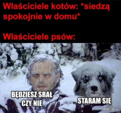 7bdf5141-2704-4d0f-9a33-6e061e43ee7d