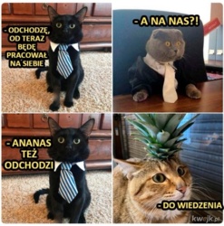 66109c00-8747-4f1f-9be4-af6774276d10