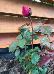 851f61c7-2865-48e2-bc71-9618ecdb9fe8