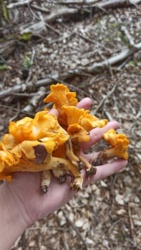 412e8266-13db-4297-b029-e2613bd8e2bf