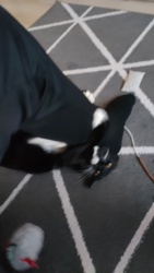 4937f893-5aa4-4048-b1ad-ec1d7056ae8f